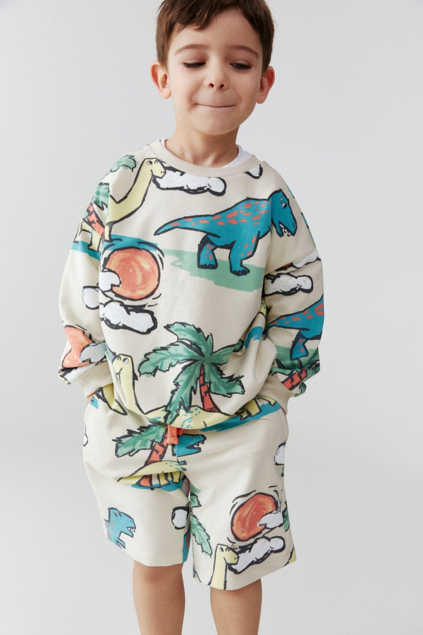 Baby Boy Dinosaur Sweatshirt Hoodie Apparel for Boys Artie Kids UK