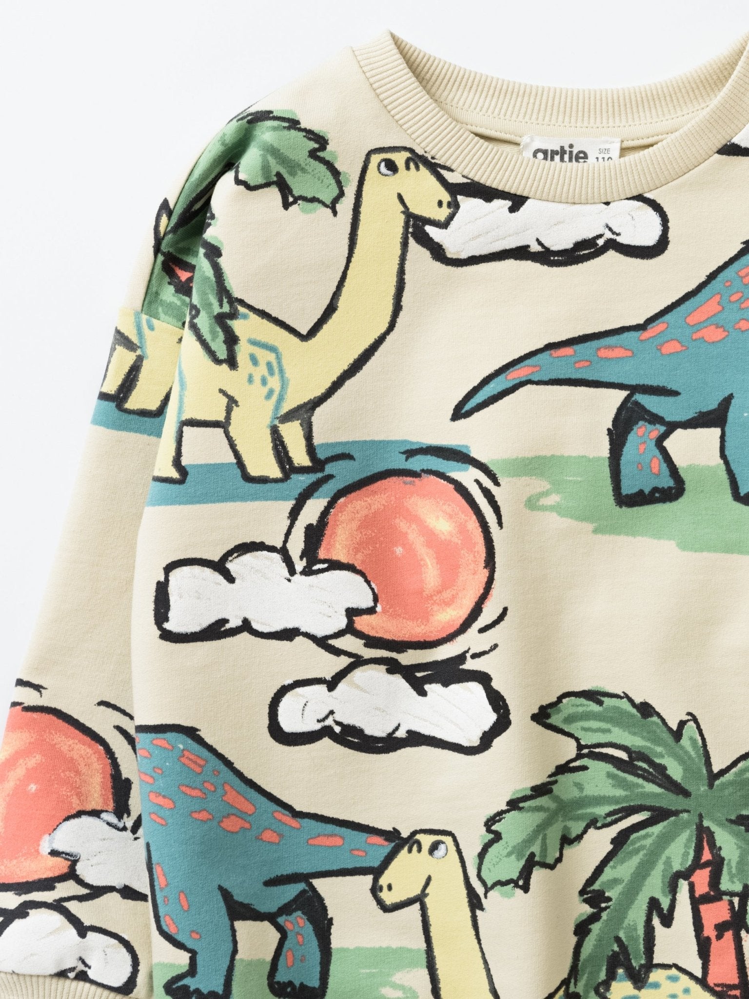 Baby Boy Dinosaur Sweatshirt - Artie Kids UK