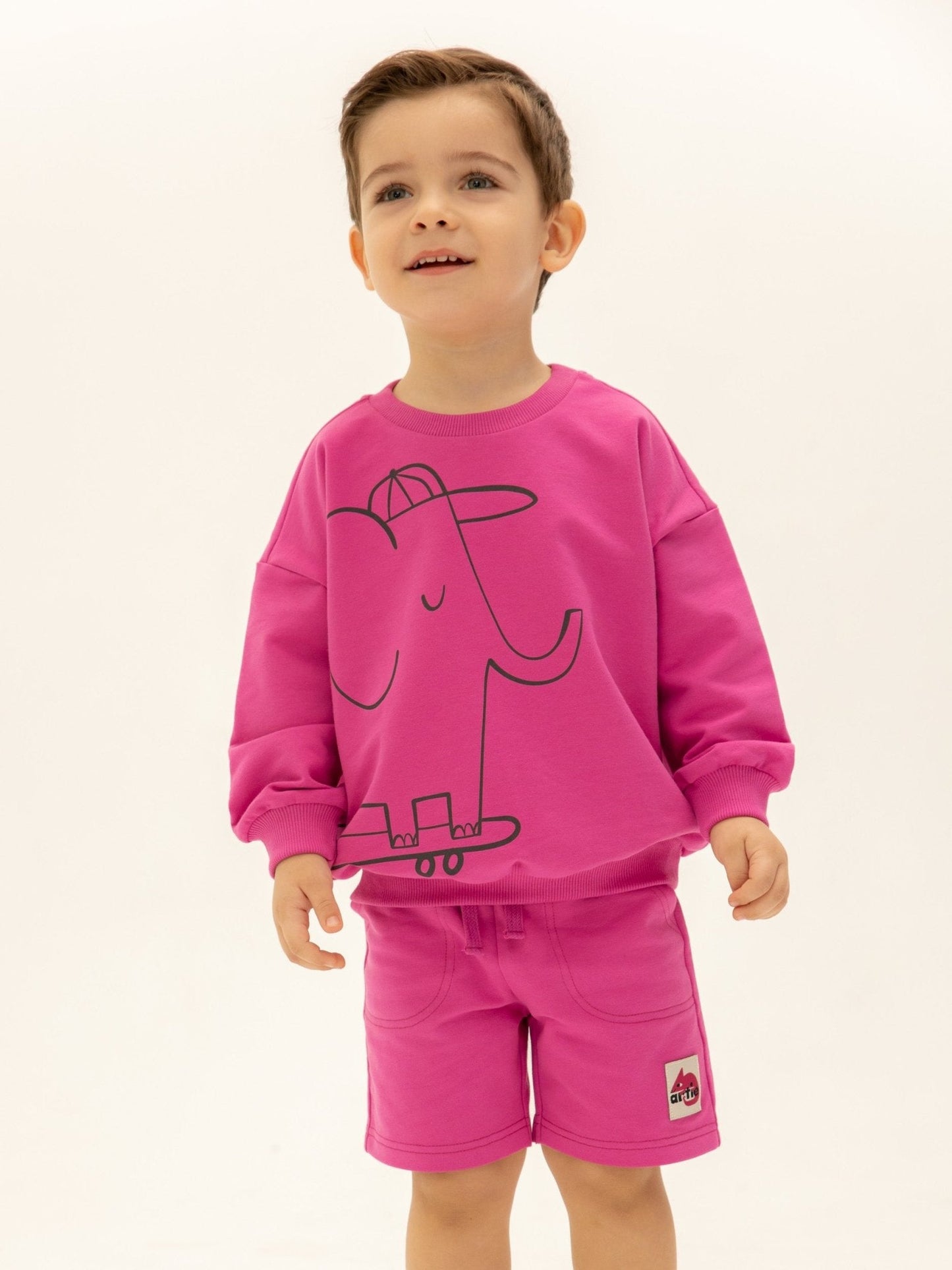 Baby Boy Elephant Printed Sweatshirt - Artie Kids UK